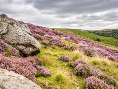 North Yorkshire view