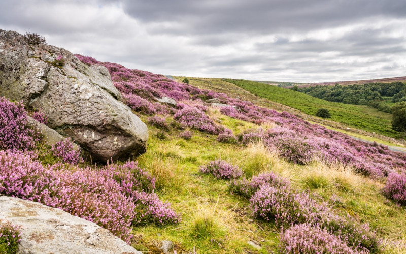 North Yorkshire view